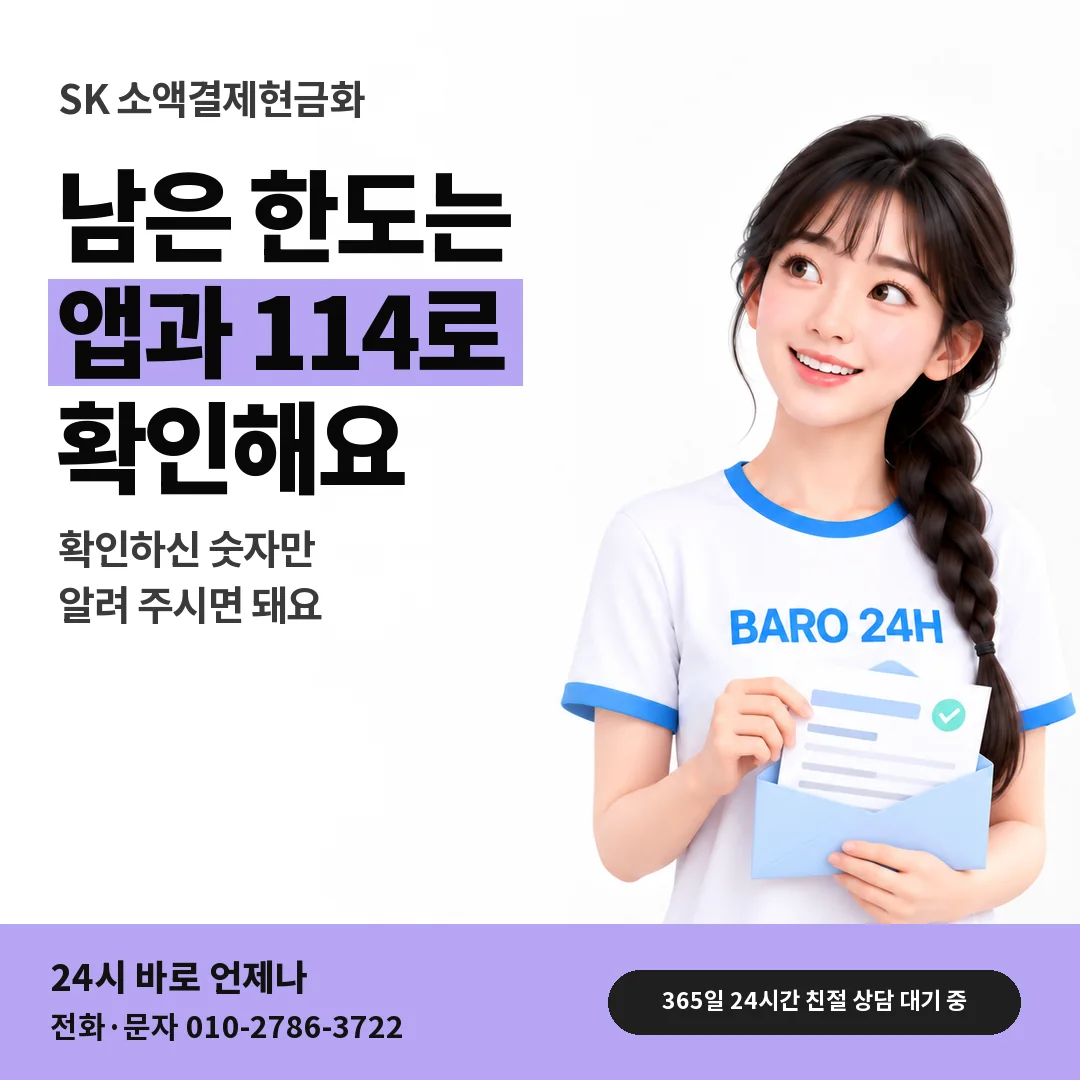 BARO 24H 티셔츠를 입은 3D 인물 옆에 「SK 한도 보는 앱과 114」 제목을 얹은 안내 카드