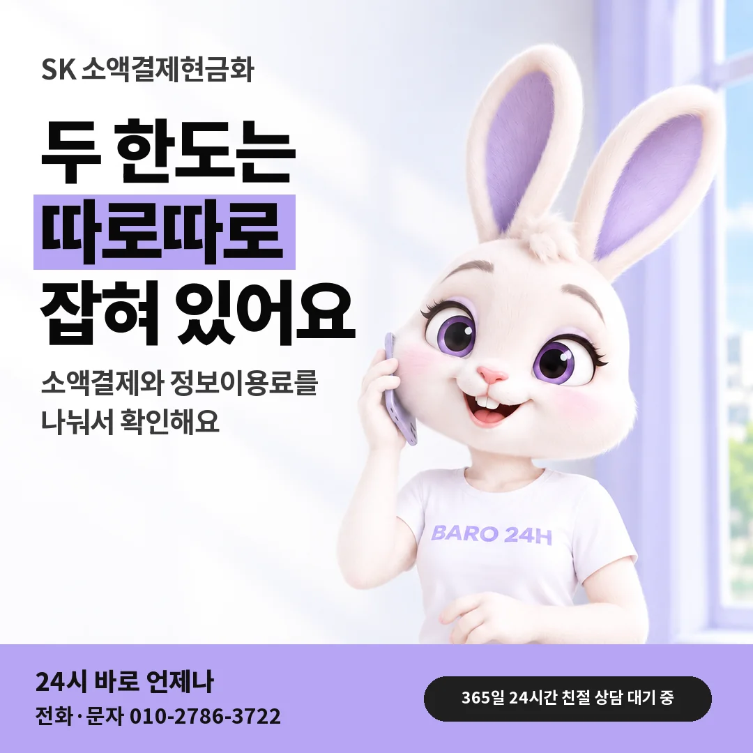 BARO 24H 티셔츠를 입은 3D 토끼 캐릭터 옆에 「SK 정보이용료 한도 따로 보기」 제목을 얹은 안내 카드
